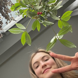 Telegram profile photo for Страница № 11