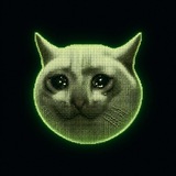 Telegram profile photo for cashcatchain