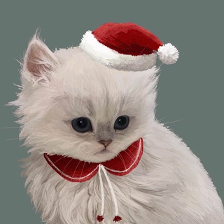 Telegram profile photo for Biserqxs.shop.x