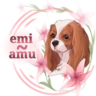 Telegram profile photo for emi~amu🐾(амуниция для животных)