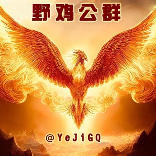 Telegram profile photo for 【野鸡担保】公群导航@YeJidb