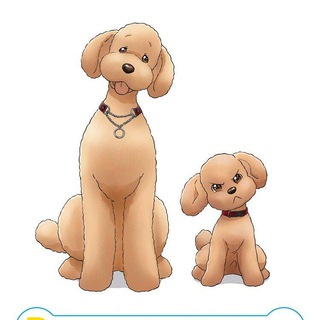 Telegram profile photo for Dog Signal