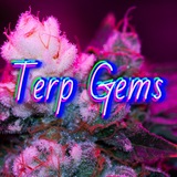 Telegram profile photo for Terp Gems