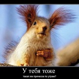 Telegram profile photo for Юмор? 🇺🇦 Не до юмора...