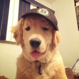 Telegram profile photo for txtfromboria