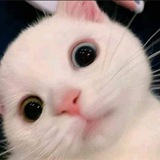 Telegram profile photo for Merve ile Kripto |