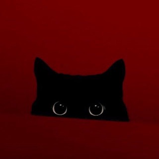 Telegram profile photo for ๐ท๐๐ฃ๐ ๐๐๐๐