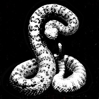 Telegram profile photo for Rattlerssnakes Records