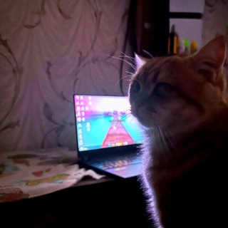 Telegram profile photo for mimi