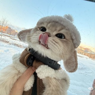 Telegram profile photo for πππ πππππππππ