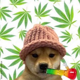 Telegram profile photo for $Bong | channel