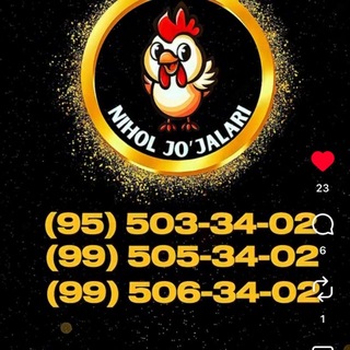 Telegram profile photo for Nihol Jo'jalari | Jizzax Ura tepalik tabaka