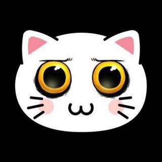 Telegram profile photo for KIKI CAT Global Chat