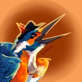 Telegram profile photo for Где зимуют зимородки?