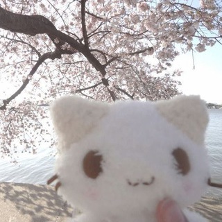 Telegram profile photo for тучка ссылки