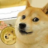 Telegram profile photo for 三马哥会员社区