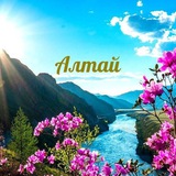 Telegram profile photo for АЛТАЙ - Отдых и Туризм ️💖