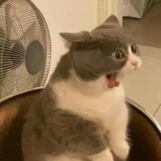 Telegram profile photo for Jestars Fails and funny videos