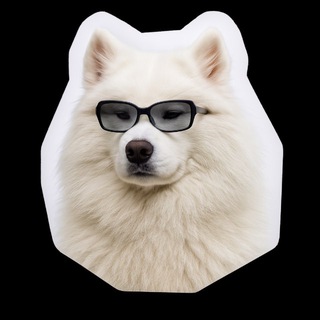 Telegram profile photo for Mailfit — блог о CRM
