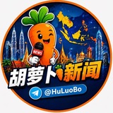Telegram profile photo for 胡萝卜新闻