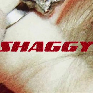 Telegram profile photo for SHAGGY TEA.