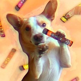 Telegram profile photo for Bebra Smoke opt🤙🏽