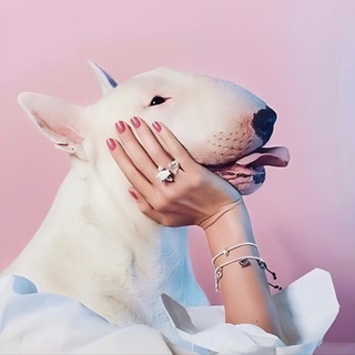 Telegram profile photo for Ой, какие мы нежные