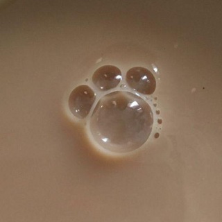 Telegram profile photo for Funny & aww