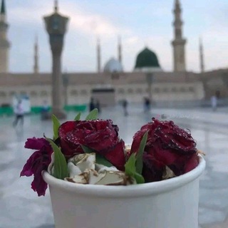 Telegram profile photo for مجالس العلم