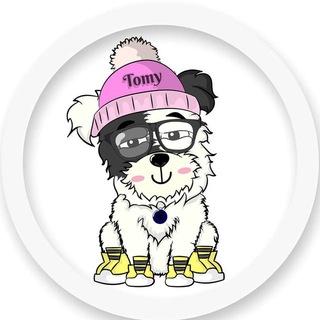 Telegram profile photo for TomyCoin