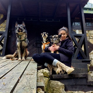 Telegram profile photo for Марина и собаки