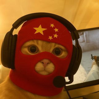 Telegram profile photo for Chinese Quant