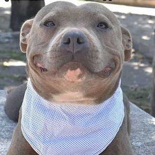 Telegram profile photo for галя у нас разврат
