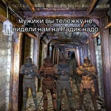 Telegram profile photo for Метро сопровождении