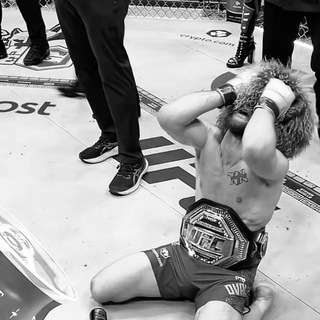 Telegram profile photo for MMA