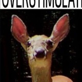Telegram profile photo for Why the 🦌FUCK🦌 are deers so silly?