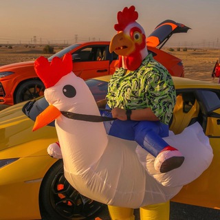 Telegram group profile photo for đź’°ReDelPollo_Stonksđź’° Gruppo Ufficiale