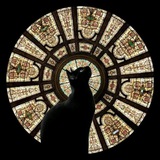 Telegram profile photo for damendormie candles
