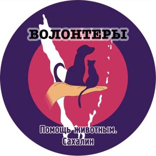 Telegram profile photo for Волонтеры «Помощь животным. Сахалин»