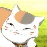 Telegram profile photo for YangChen's Daily