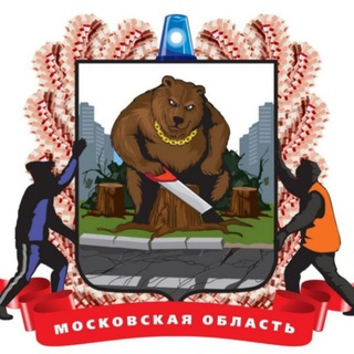 Telegram profile photo for Звуки МО