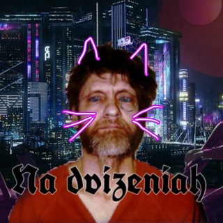 Telegram profile photo for Котики на движениях