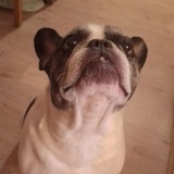 Telegram profile photo for Склад старых кассет