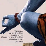 Telegram profile photo for Gita Darshan