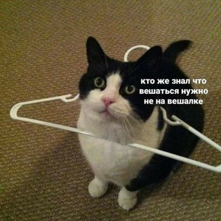 Telegram profile photo for Одменские Хроники || орг состав РФК