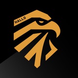 Telegram profile photo for Hallo Group