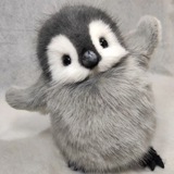 Telegram profile photo for pingvin—(penguin).