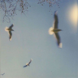 Telegram profile photo for Dunia.