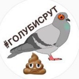 Telegram profile photo for Голубь Фургала