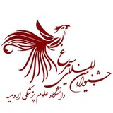 Telegram profile photo for یازدهمین جشنواره بین المللی سیمرغ دانشگاه علوم پزشکی ارومیه